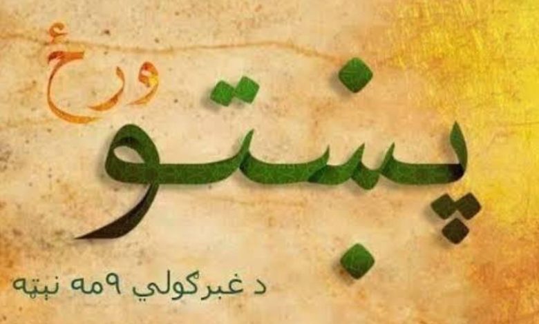 afghan 2025 05 29t171427.273