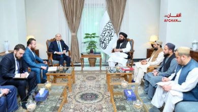 afghan 2025 06 01t184749.661