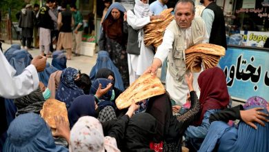 afghan 2025 06 17t194257.327