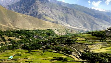 afghan 2025 07 03t102051.337