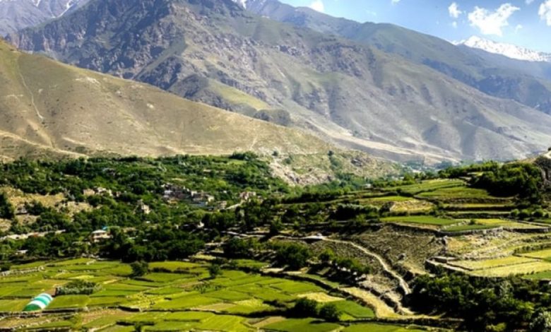afghan 2025 07 03t102051.337