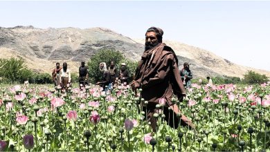 afghan 2025 07 03t120420.430