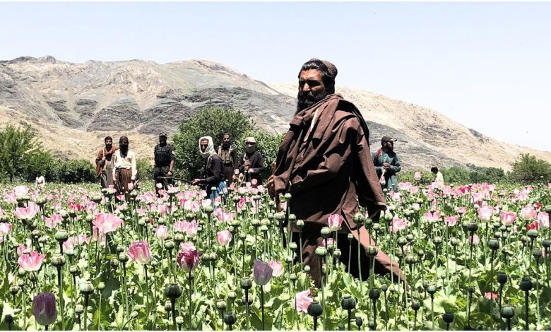 afghan 2025 07 03t120420.430