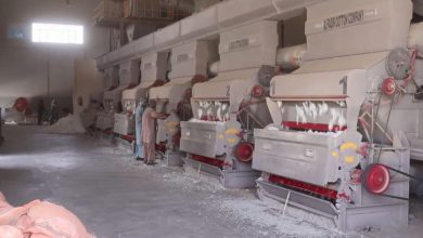 afghan 2025 08 04t102022.529