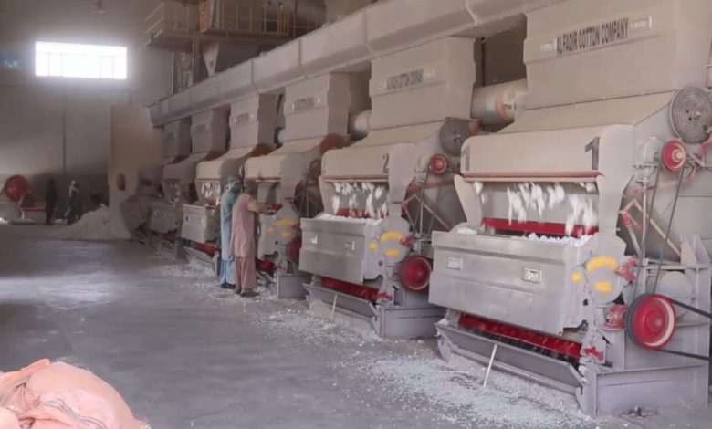 afghan 2025 08 04t102022.529