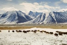 afghan 2025 08 26t094545.175