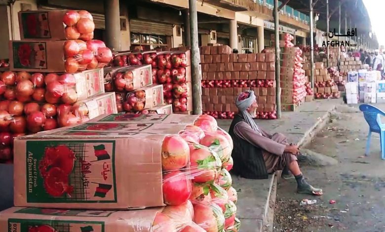 afghan 2025 10 05t120113.031