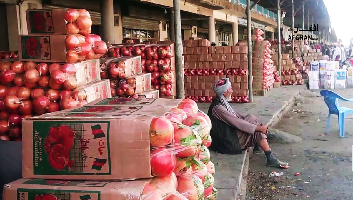 afghan 2025 10 05t120113.031
