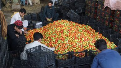 afghan 2025 10 24t104737.810