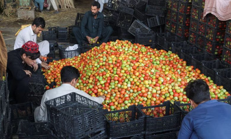 afghan 2025 10 24t104737.810