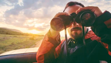 د ژوند مهم اړخونه؛ ۱۲ اړخونه چې باید لومړیتوب ولري