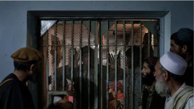 afghan 2025 11 06t163835.705