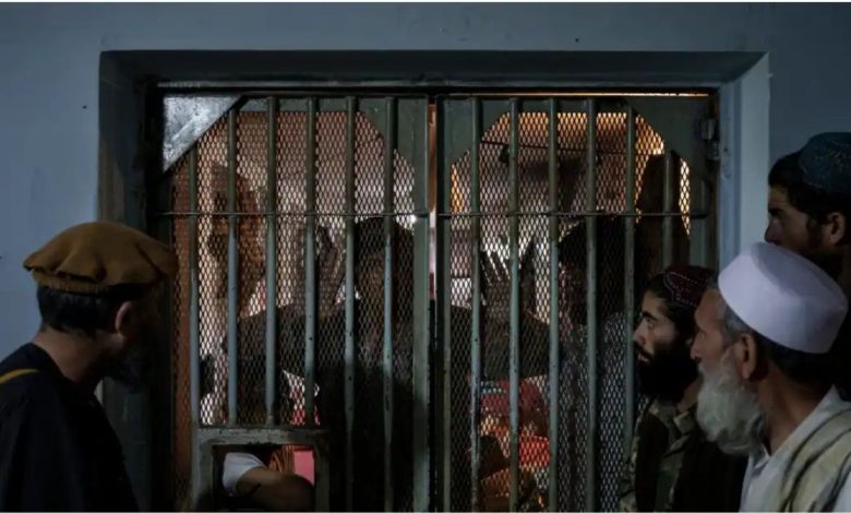 afghan 2025 11 06t163835.705