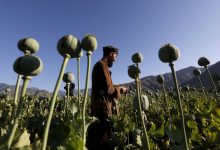 Afghan 2025 11 07T104915.777