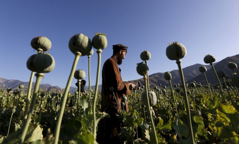 Afghan 2025 11 07T104915.777