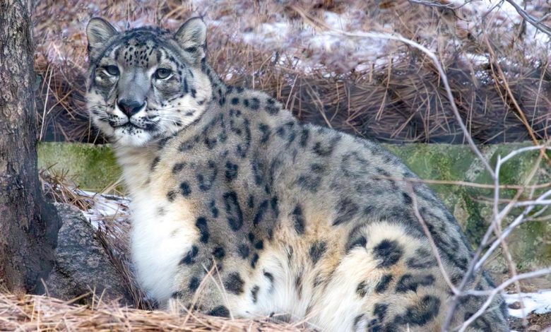 Afghan 2025 11 18T095350.339