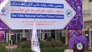 هرات کې د زعفرانو کلنی نندارتون جوړ شوی