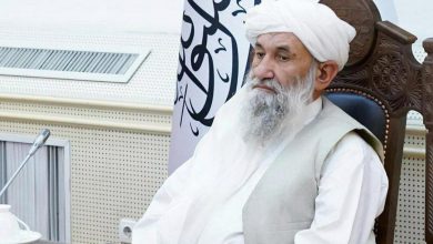 IMG 20240723 125403 495