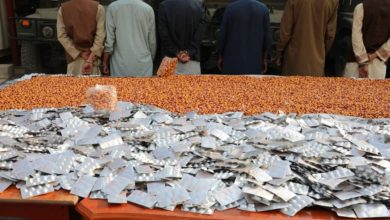 پولیسو ۳۳ زره زیکپ ګولۍ ونیولې؛ کابل کې د نشهيي توکو ضد ستر عملیات