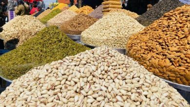 نړیوالو بازارونو ته د وچې مېوې صادرات: د هرات بېساری پرمختګ او اقتصادي وده