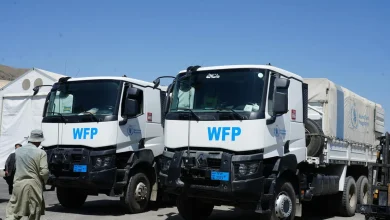 د معیوبینو د کورنیو ستونزې؛ د ژمي په رارسېدو سره د مرستو کموالی او د معیوبینو اندېښنې