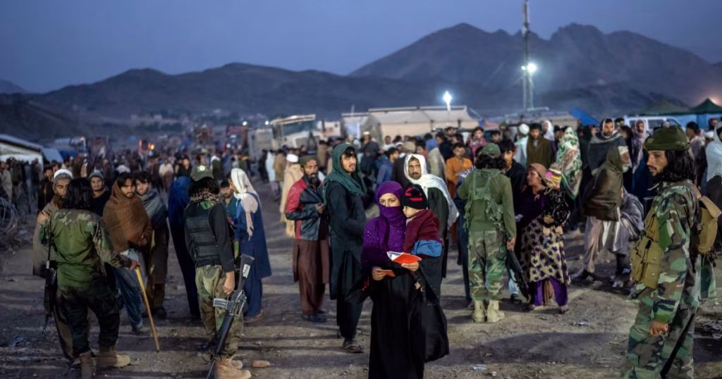 01000000 0a00 0242 fe3f 08dbe234066c w1200 h630 1