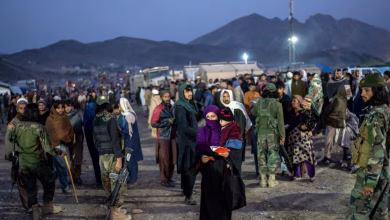 افغان کډوال؛ د راستنېدو وروسته یوازې ۱۱ سلنه کسانو ته د کار زمینه برابره شوې