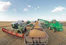 د غنمو صادرات؛ قزاقستان په ۲۰۲۵ کال کې افغانستان ته د غلو لېږد ۶۳ سلنه زیات کړی