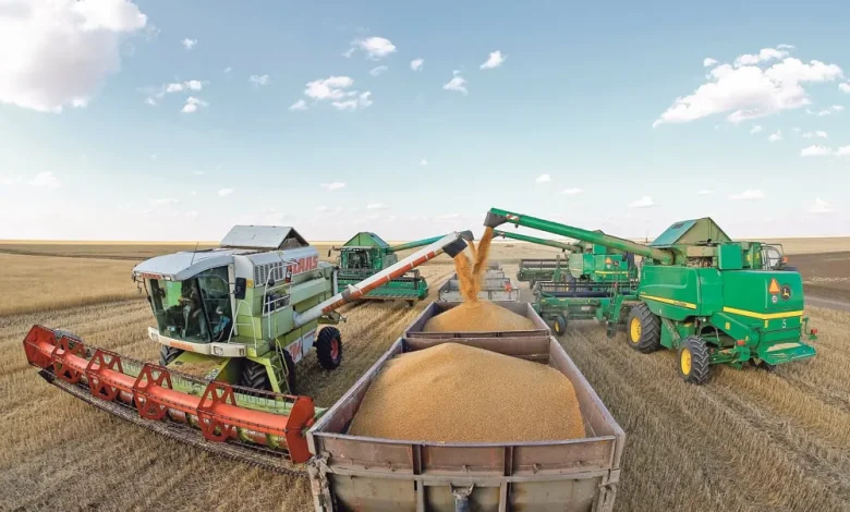 د غنمو صادرات؛ قزاقستان په ۲۰۲۵ کال کې افغانستان ته د غلو لېږد ۶۳ سلنه زیات کړی