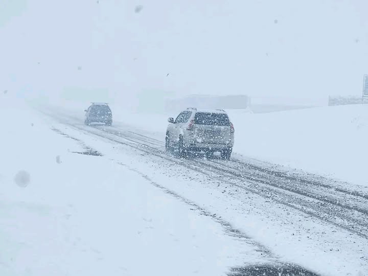 606105535 1207556728050292 7261960654557548360 n 1