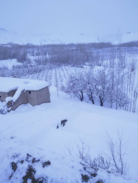 617772125 3996330403992294 8429644985003598988 n