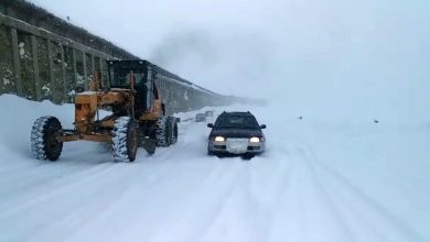 په افغانستان کې د درنې واورې زیانونه؛ سالنګ کې ځاني تلفات او د ۱۱ ولایتونو د برښنا پرې کېدل