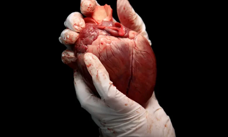 پر شخصیت د بدن د غړو د پیوند اغېز؛ ایا نوي غړي زموږ هویت بدلولی شي؟