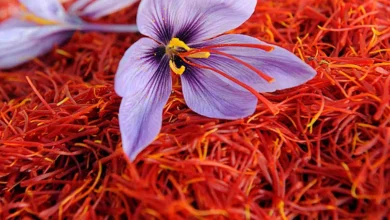 د افغانستان زعفران؛ د پرلهپسې لسم کال لپاره په نړۍ کې د لومړي مقام ګټونکی