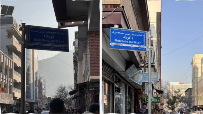 بي بي حلیمه کوڅه شابوبو 696x392 1