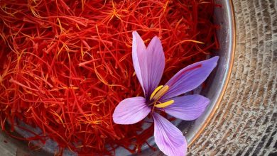 د هرات زعفران؛ د لسم پرلهپسې کال لپاره د نړۍ د غوره کیفیت لرونکي زعفرانو لومړی مقام ترلاسه کړ