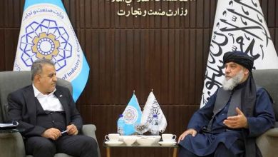 له ایرانه په ارزانه بیه د تېلو غوښتنه؛ کابل کې د افغانستان او ایران ترمنځ نوې هوکړې