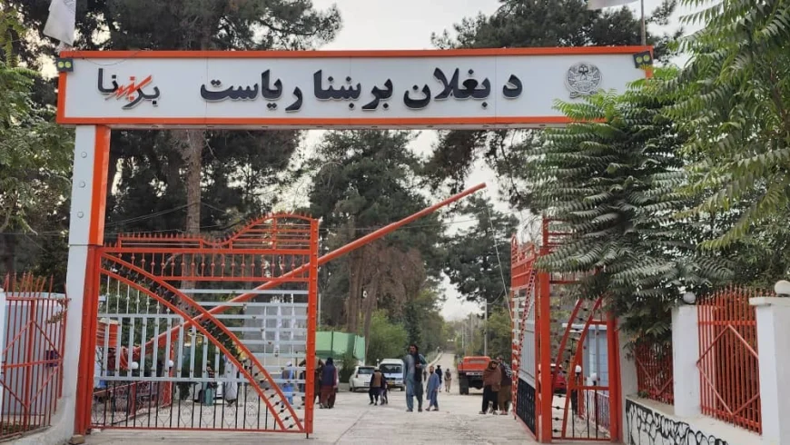 image 870x 6989b34c7c040 1