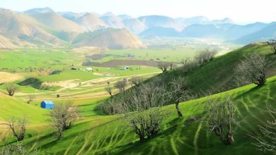 د بادغیس کې د ۴ کسانو نیول کېدل: د غیرقانوني کیندنو پر وړاندې مبارزه