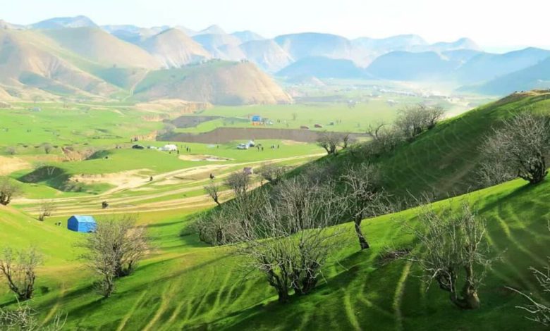 د بادغیس کې د ۴ کسانو نیول کېدل: د غیرقانوني کیندنو پر وړاندې مبارزه