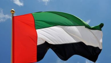 د متحده عربي اماراتو اندېښنه؛ د کابل او اسلاماباد ترمنځ نښتې او پر زغم ټینګار وشو