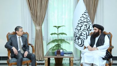 افغانستان او پاکستان؛ متقي د چین له سفیر سره د وروستیو بریدونو په اړه وغږېد