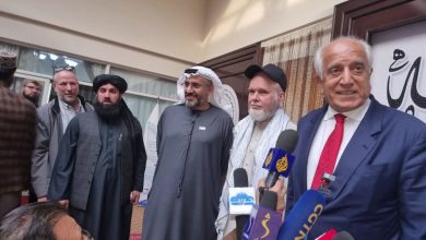 ډینیس کویل خلاصون او د متحده عربي اماراتو رول په ډیپلوماټیکو هڅو کې