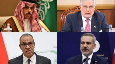 اسلاماباد: پاکستان د بهرنیو چارو وزیرانو کوربه؛ د سیمې پر ثبات خبرې اترې