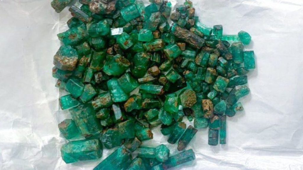 photo 2024 07 23 13 43 26 1