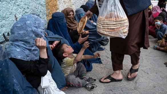 41731 33d62zd highres 1 585 329