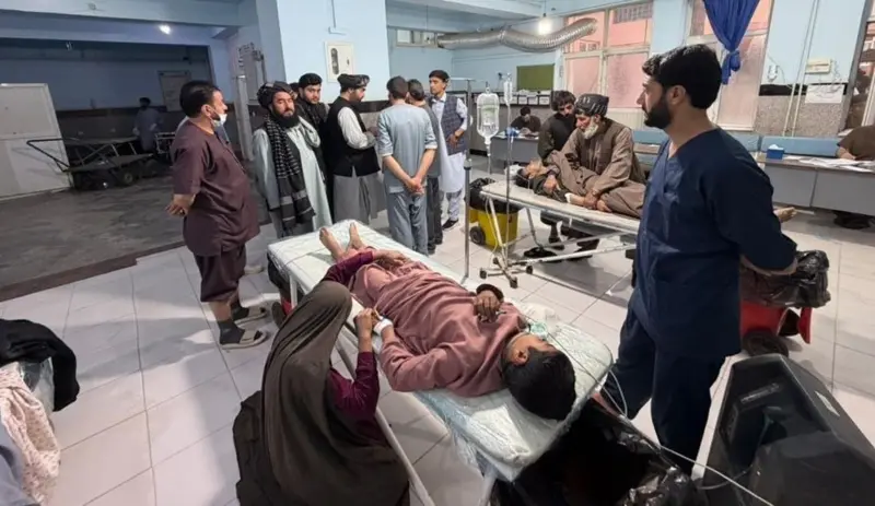 6aeb8630 34f8 11f1 8606 05fe34b06e1b.jpg 1