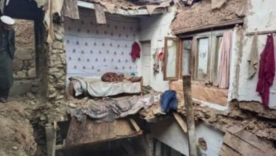 ننګرهار کې د ۷ کسانو مړینه؛ په تېرو دریو ورځو کې ۲۳ کسانو ژوند بایللی