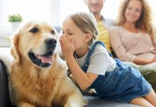 له حیواناتو سره خبرې؛ ایا ساینسي کیسې په رښتیا بدلېږي؟