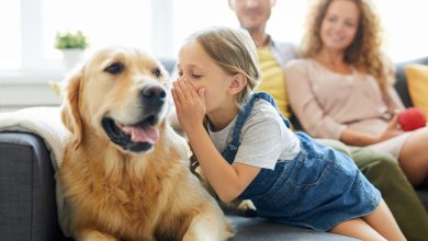 له حیواناتو سره خبرې؛ ایا ساینسي کیسې په رښتیا بدلېږي؟